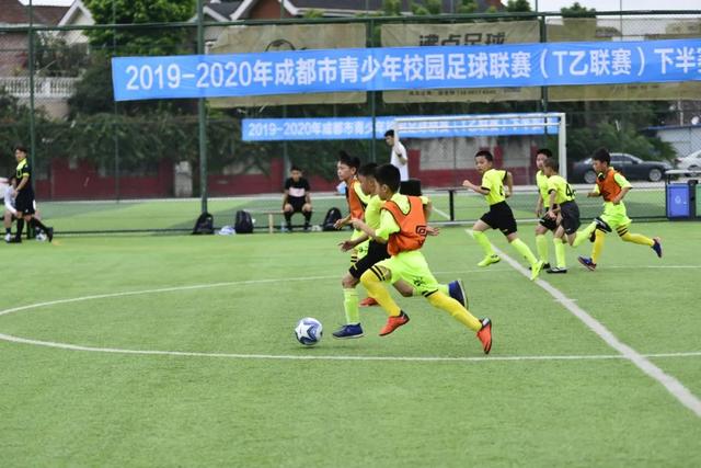 上海音乐教师失联风波后归国，面临三大挑战
